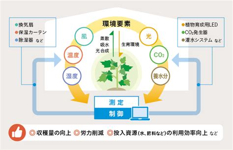 スマート農業の指導力を伸ばし、日本の農業の発展を支える。 ジチタイワークス