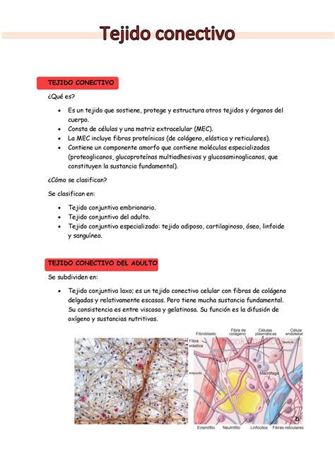 Tejido Conectivo Ross Histología Texto Y Atlas TEJIDO CONECTIVO