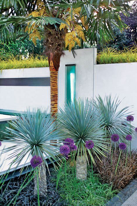 23+ Engaging Palm Tree Garden Design ~ Danielle Finch