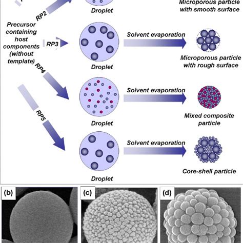 Schematic Illustration For The Porous Particle Formation The Paneled