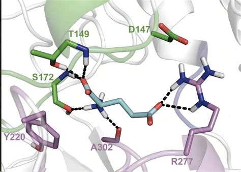 生物体系动力学 算筹科技