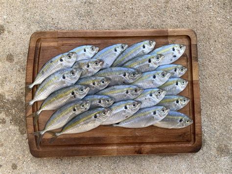 shop  category seafood kuning fish kg