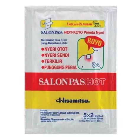 Jual Salonpas Hot Koyo Isi 10 Lembar Shopee Indonesia