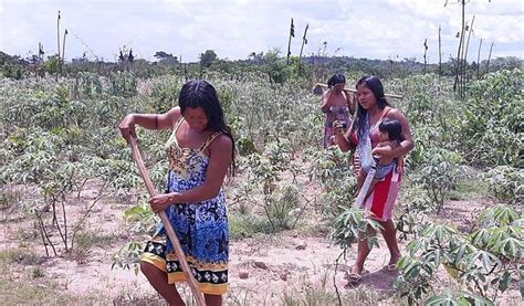 Ajude nosso povo Kayapó Metuktire Instituto RAONI