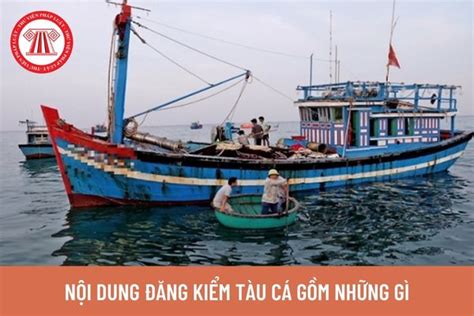 Nội dung đăng kiểm tàu cá gồm những gì Kiểm tra duy trì điều kiện cơ