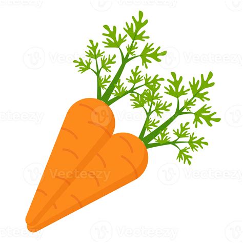 Carrot Cartoon Illustration Png