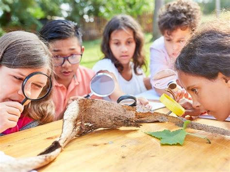 Beneficios De Los Campamentos De Verano Para Los Ni Os