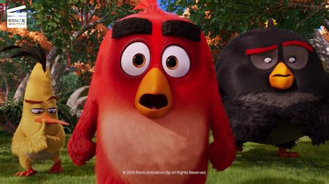 The Angry Birds Movie The Legendary Mighty Eagle Hd Clip Youtube