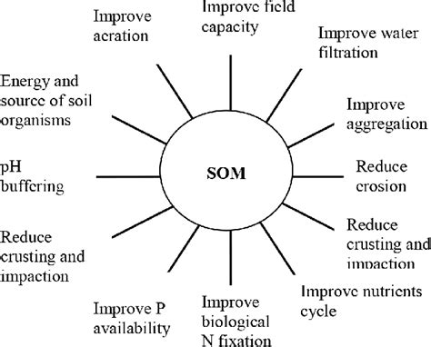 Soil organic matter contributes to soil fertility. | Download ...