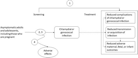 Figure 1 Analytic Framework Screening For Chlamydial And Gonococcal