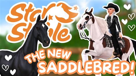 Buying The New American Saddlebred New Clothes II My Honest Opinion