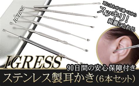 小型 耳かき 6本セット 耳 掃除 乾湿 対応 耳あか ごっそり ステンレス 水洗い 可能 専用 ケース キーホルダー イヤーピック 耳掃除