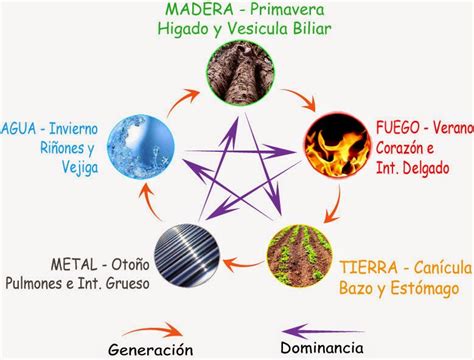 El Ba L De La Acupuntura Teor A De Los Elementos Wu Xing