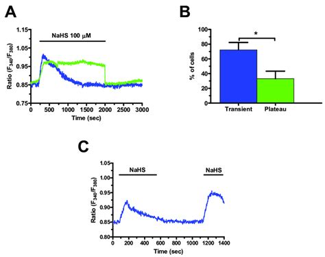 Distinct Ca Signals Induced By Nahs In Mcrc Cells A