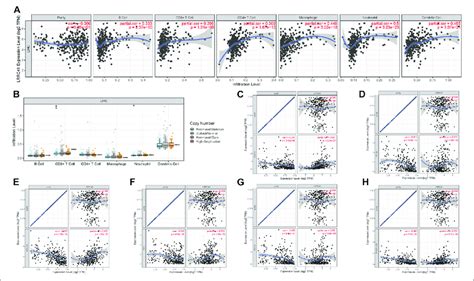 Role Of LRRC41 In TIME And Immunotherapy Of HCC A Correlation