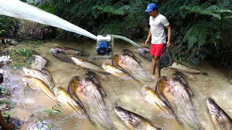 Teknik Menangkap Ikan Sederhana Hasil Melimpah Tinggal Ngopi Ngudud