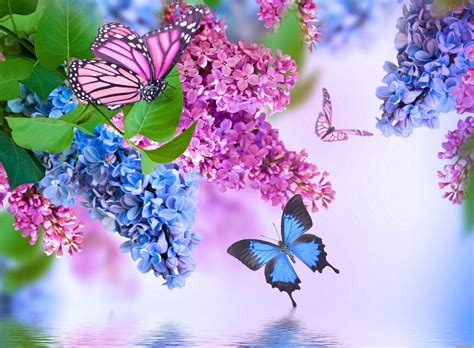 Flowers And Butterflies Wallpapers - Wallpaper Cave