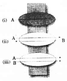 Plus One Botany Chapter Wise Previous Questions Chapter 7 Transport In