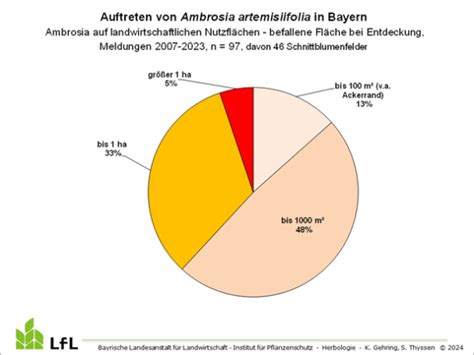 Gesundheitsproblem Ambrosia Erkennen Und Bek Mpfen Lfl