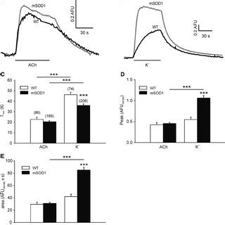 Elevations of the cytosolic Ca 2 ϩ concentrations Ca 2 ϩ c