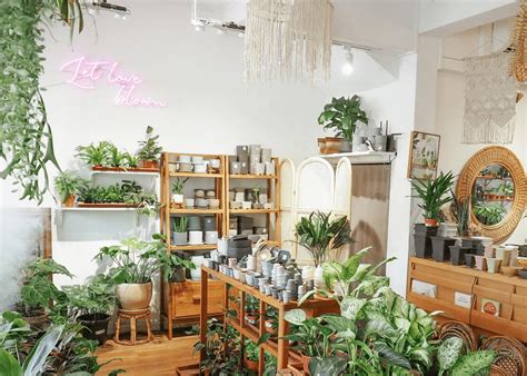 15 Best Plant Nurseries And Stores In Singapore Honeycombers