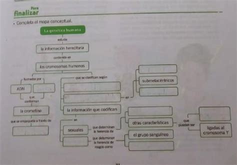 Completa El Siguiente Mapa Conceptual Es Para Hoy Brainly Lat