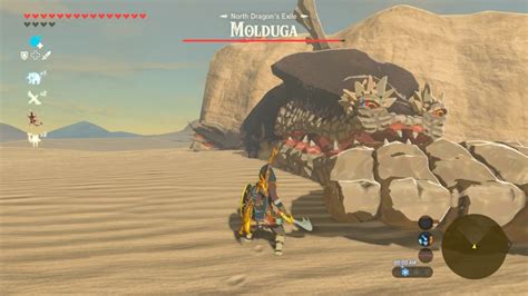 How To Defeat A Molduga In The Legend Of Zelda Breath Of The Wild