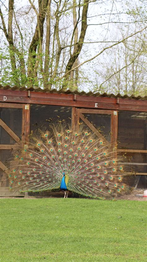 Nme Hoogezand Zoveel Meer Dan Een Kinderboerderij Moeders In Groningen