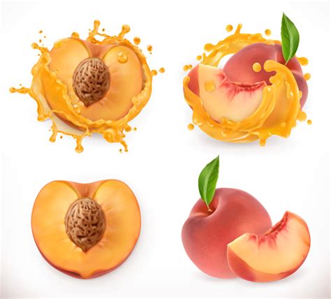 Peach Juice And Splash Vector Free Download