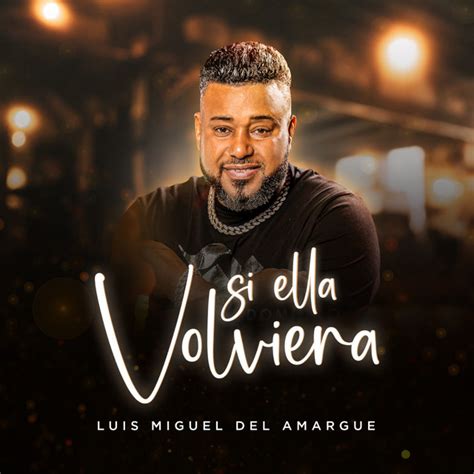 Si Ella Volviera Bachata Single Par Luis Miguel Del Amargue Spotify