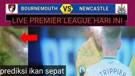 Live Bournemouth Vs Newcastle Utd Premier League Prediksi Ikan Sepat