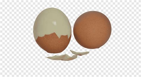 Egg Chicken Egg Png PNGEgg