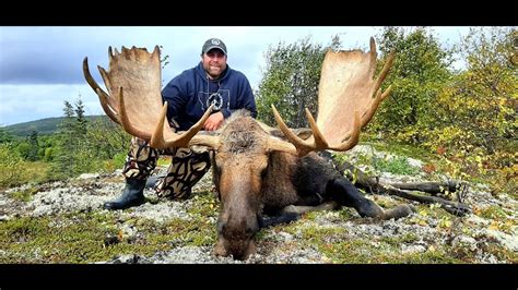 2021 Alaska Moose Hunt YouTube