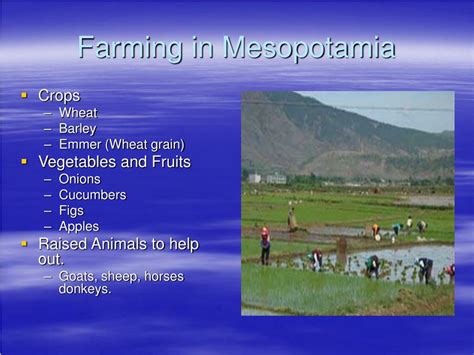 PPT - MESOPOTAMIA PowerPoint Presentation, free download - ID:1784269