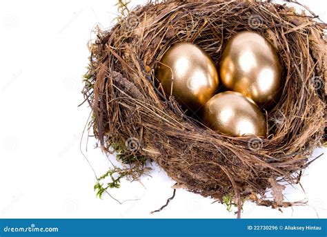 Three Golden Eggs In The Nest Stock Photo Image Of Background Fresh