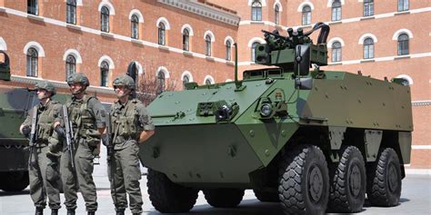 Pandur Radpanzer Rennmaschine Und Arbeitspferd Des Heeres Aus