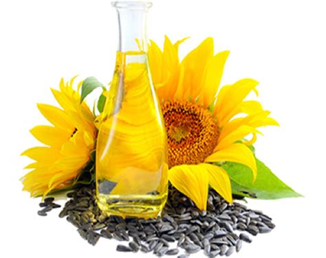 Sunflower oil – Aurora Alimentos LLC