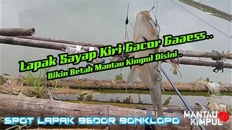 Spot Mancing Ikan Nila Liar Lapak Bedor Bonklopo Waduk Karangkates