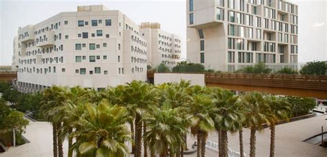 NYU Abu Dhabi: Picture Yourself Here - MEET NYU