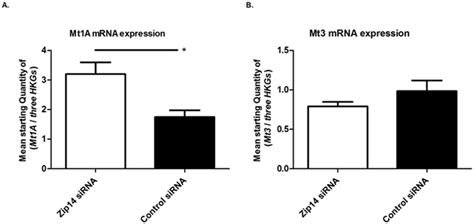 Mrna Expression Levels Of Metallothioneins Measurements Of