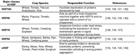 Table 1 From Heat Shock Proteins Functions And Response Against Heat