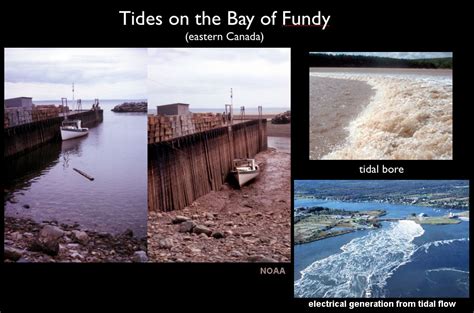 114 Types Of Tidal Cycles And Regional Tidal Variations Geosciences