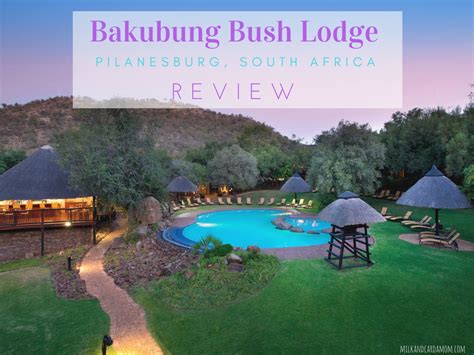 Bakubung Bush Lodge | Milk & Cardamom