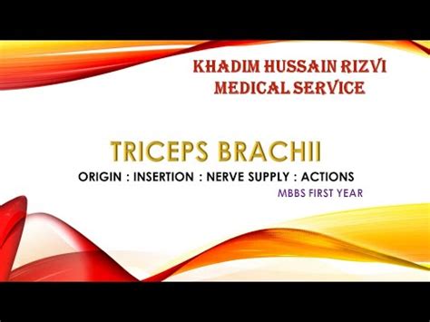 Triceps Brachii Origin Insertion Nerve Supply Actions Khrms