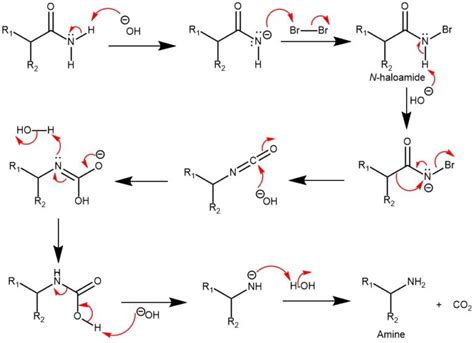 HOFMANN REACTION || HOFMANN DEGRADATION || HOFMANN REARRANGEMENT – My ...