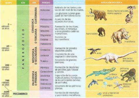 Elabora Una Linea Del Tiempo Y Describe Las Caracter Sticas De Las Era