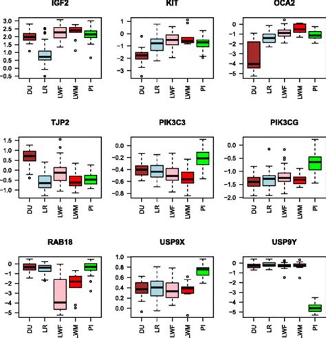 Examples Of Gene Expression Across The Five Breeds The Boxplots Are