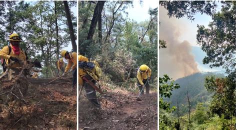 Fuerzas De Tarea Combaten Incendio Forestal En Huayacocotla