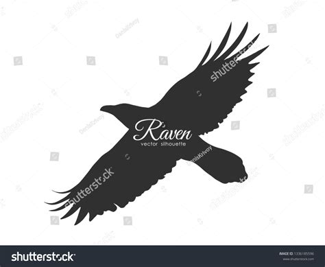 Vector Illustration Silhouette Flying Raven Isolated Stock Vector ...