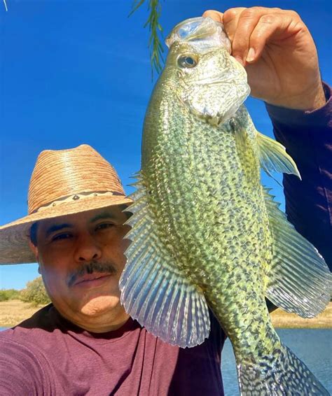 Trophy Crappie Ketchn Lessons For Free